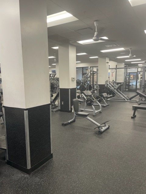 Dgy Cardio 3 